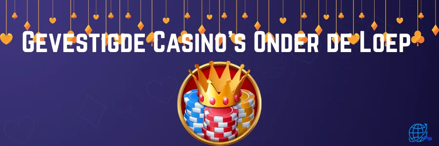 Gevestigde Casino's Onder de Loep